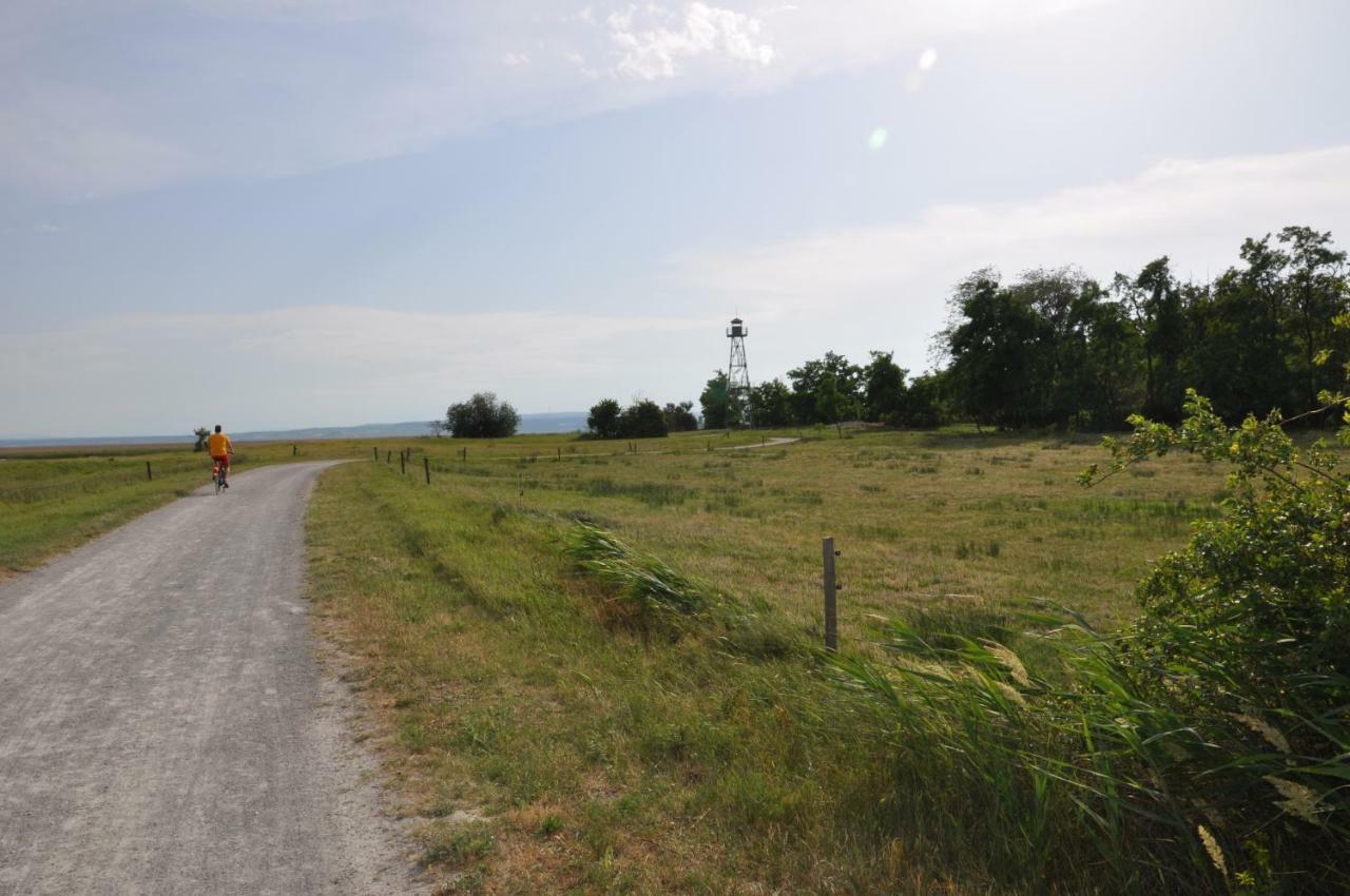 Ferienhaus Resi Illmitz Buitenkant foto